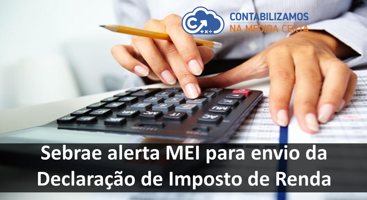 Sebrae Alerta MEI Para Envio Da Declaração De Imposto De Renda